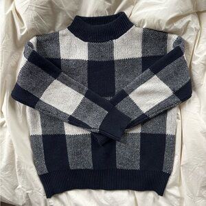 Women’s Navy and White Checkered Gingham Sweater